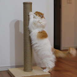 日本製 爪とぎスクラッチポール